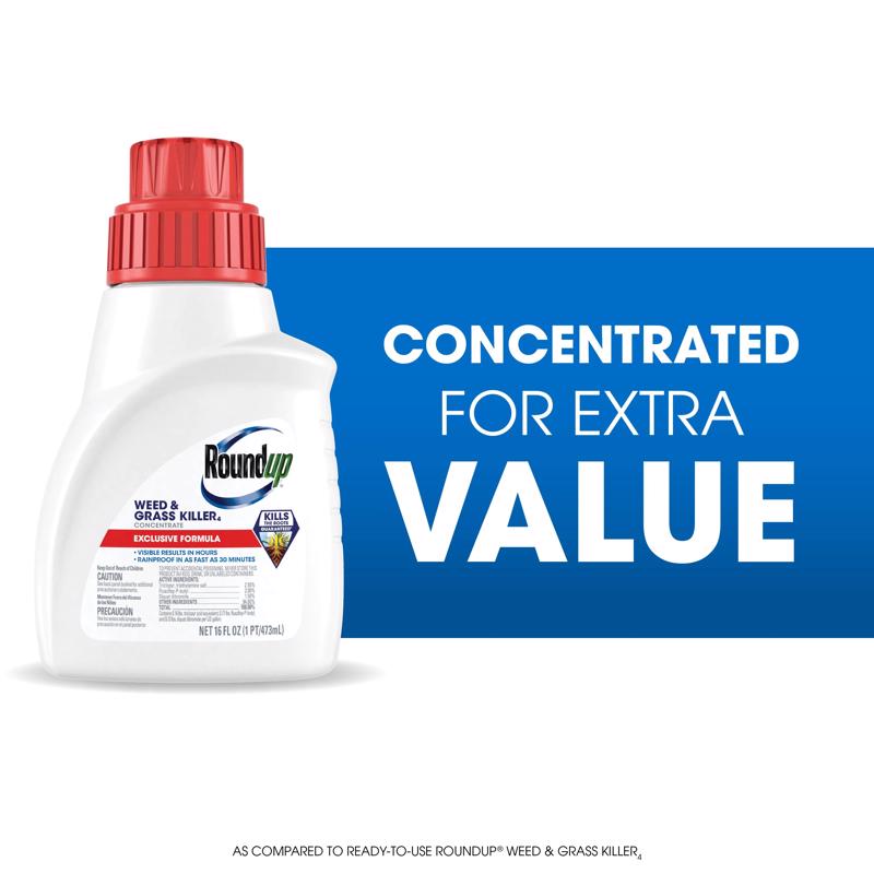 Roundup Weed and Grass Killer Concentrate 16 oz
