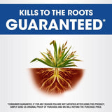 Roundup Weed and Grass Killer Concentrate 16 oz