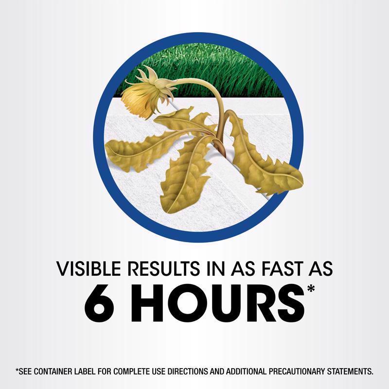 Roundup Weed and Grass Killer Concentrate 35.2 oz