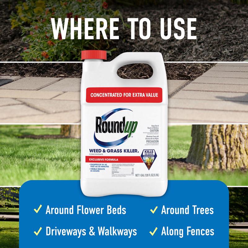 Roundup Weed and Grass Killer Concentrate 1 gal