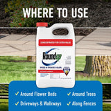 Roundup Weed and Grass Killer Concentrate 1 gal