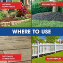 Roundup Weed and Grass Killer Concentrate 1 gal