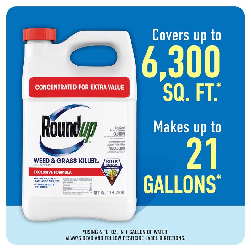 Roundup Weed and Grass Killer Concentrate 1 gal