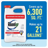 Roundup Weed and Grass Killer Concentrate 1 gal