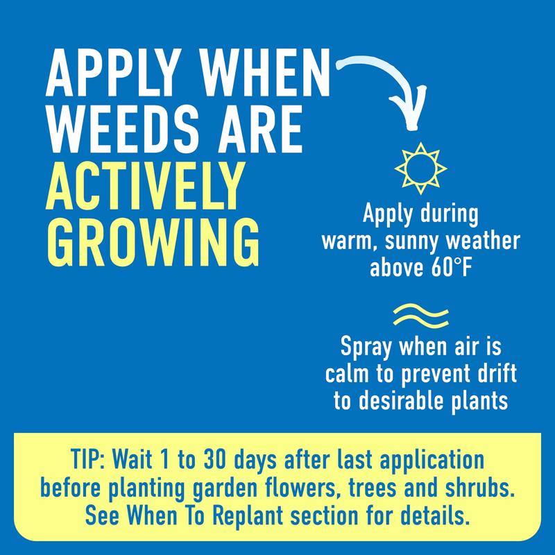Roundup Weed and Grass Killer Concentrate 1 gal