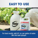 Roundup Weed and Grass Killer Concentrate 1 gal