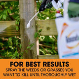 Roundup Poison Ivy Killer RTU Liquid 1 gal