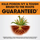 Roundup Poison Ivy Killer Concentrate 32 oz
