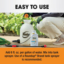 Roundup Poison Ivy Killer Concentrate 32 oz