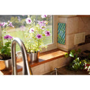 FLY TRAP FLIES ODRLS 2PK