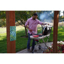 FLY TRAP FLIES ODRLS 2PK