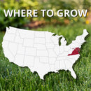 Jonathan Green Black Beauty Delmarva Mixed Sun or Shade Grass Seed 7 lb