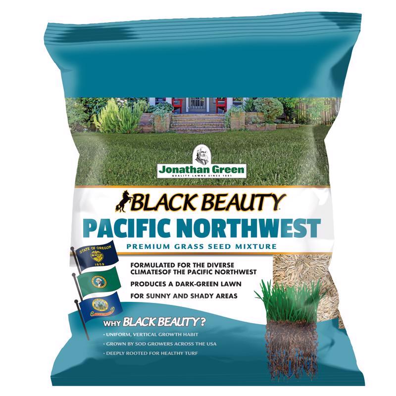 Black Beauty Pacific Nor