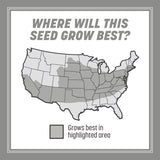 Pennington Contractors Mix Sun or Shade Grass Seed 20 lb