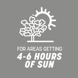 Pennington Contractors Mix Sun or Shade Grass Seed 20 lb