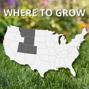 Jonathan Green Black Beauty Rocky Mountain Mixed Sun or Shade Grass Seed 3 lb