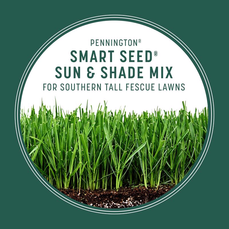 Pennington Smart Seed Mixed Full Sun/Medium Shade Grass Seed and Fertilizer 7 lb