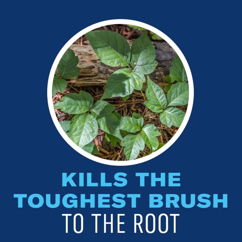 BioAdvanced Extended Control Brush Killer Concentrate 32 oz