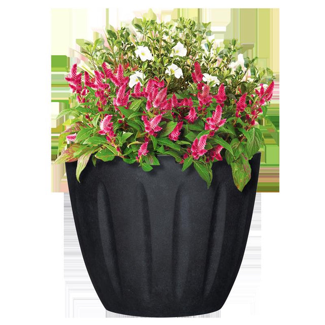 PLNTR SPRTZR RND BLK 16"