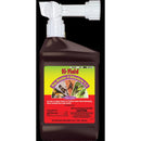 INSECT CONTROL LIQD 32OZ