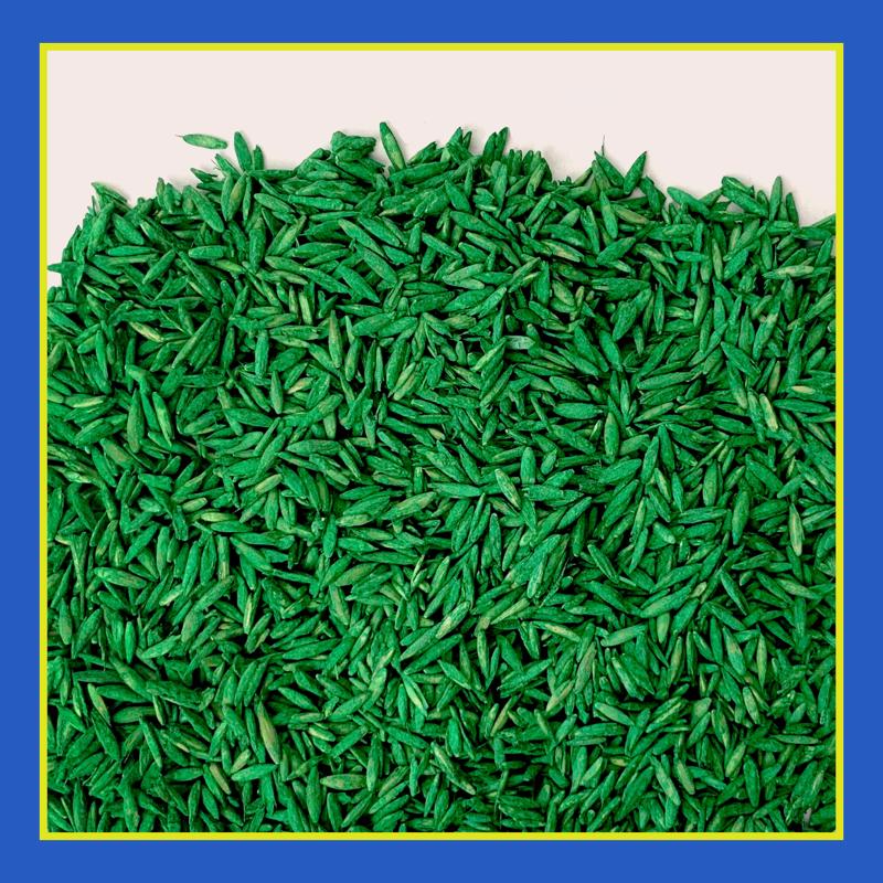 Pennington Smart Seed Clover Grass Mix Full Sun/Light Shade Grass Seed 7 lb