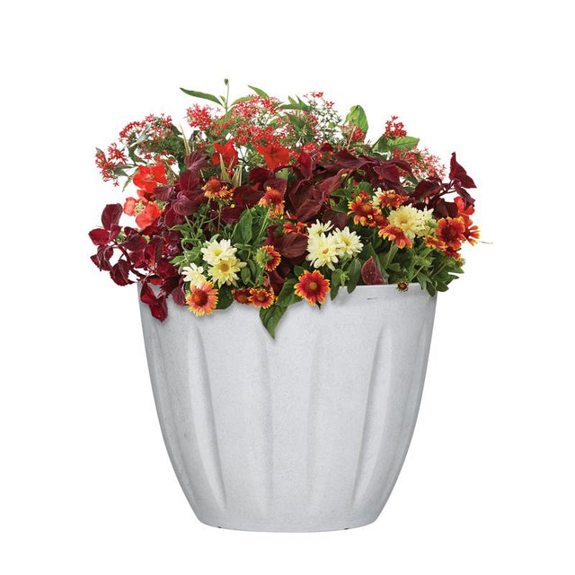 PLNTR SPRTZR RSN WHT 12"