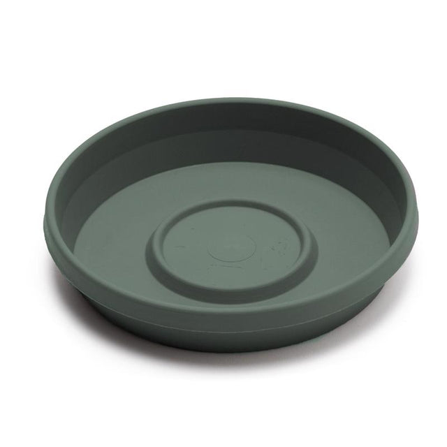 PLNT SCR TRRA GRN 14"
