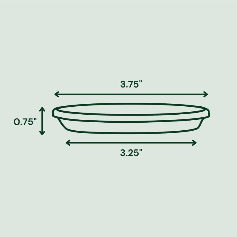 Bloem Terra 0.75 in. H X 3.75 in. W X 3.25 in. D Plastic Traditional Plant Saucer Basil