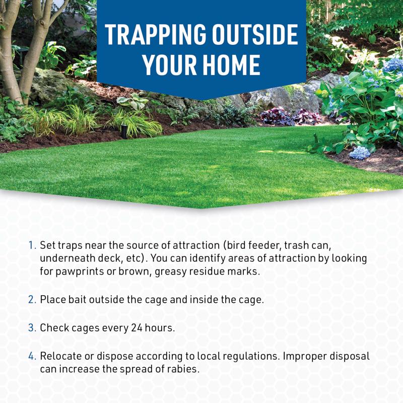 JT Eaton Answer Large Live Catch Animal Trap Cover For Cats and Raccoons 1 pk