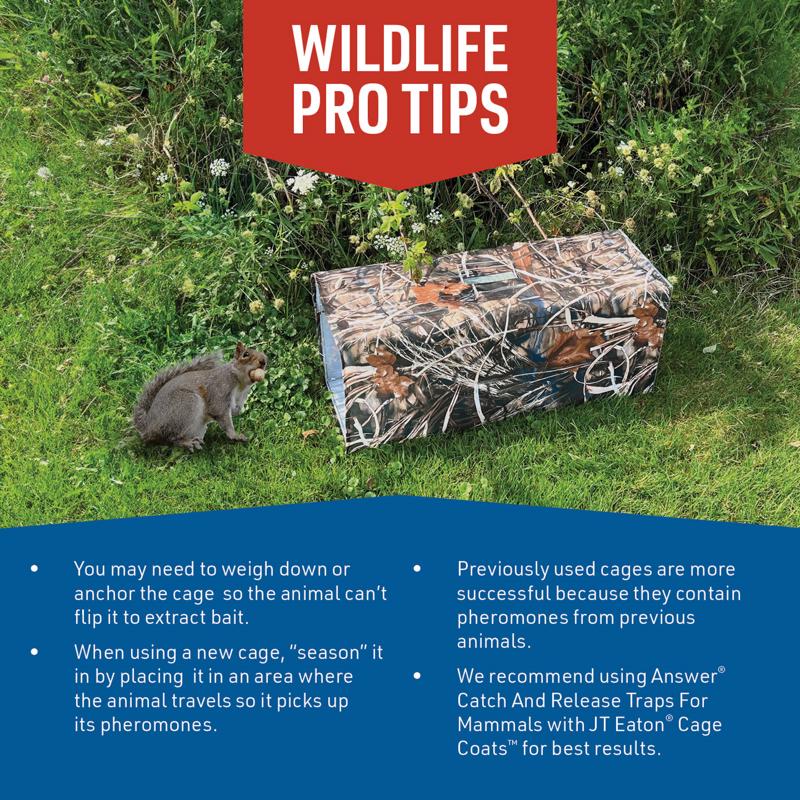 JT Eaton Answer Large Live Catch Animal Trap Cover For Cats and Raccoons 1 pk