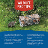 JT Eaton Answer Large Live Catch Animal Trap Cover For Cats and Raccoons 1 pk