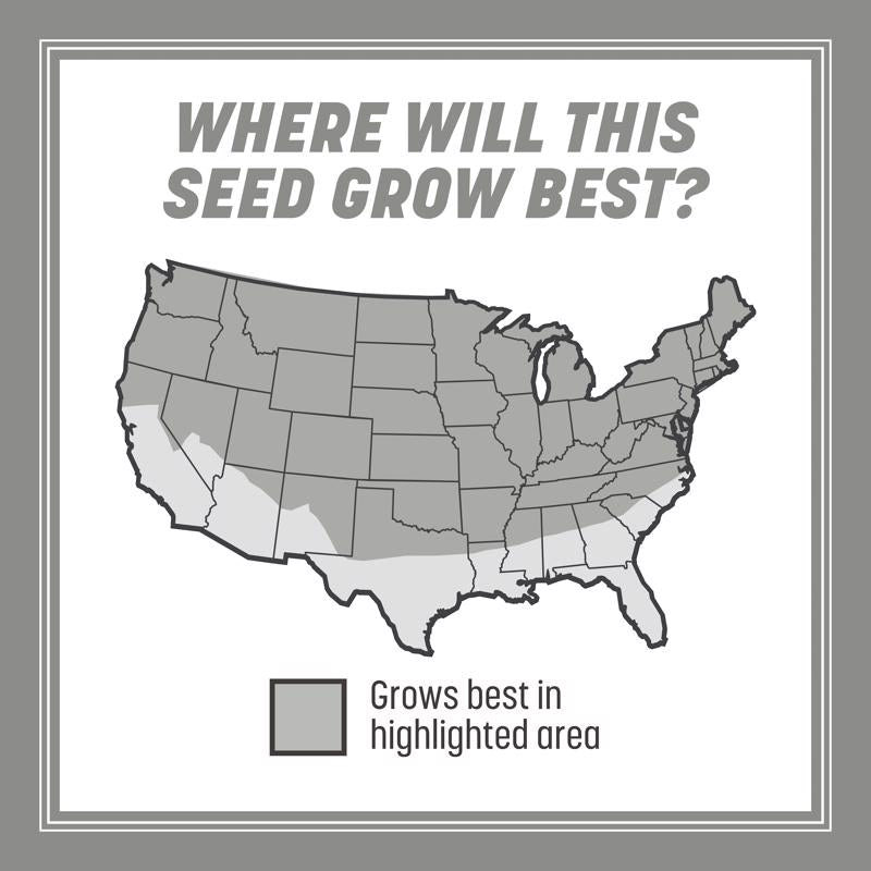 Pennington Contractors Mix Full Sun/Light Shade Grass Seed 40 lb