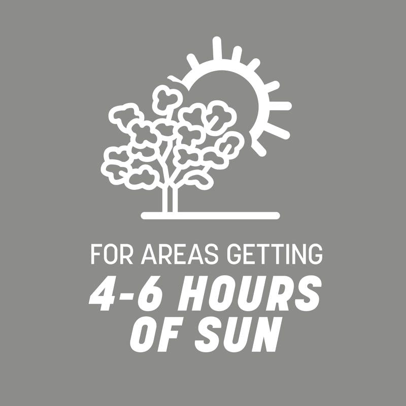 Pennington Contractors Mix Full Sun/Light Shade Grass Seed 40 lb