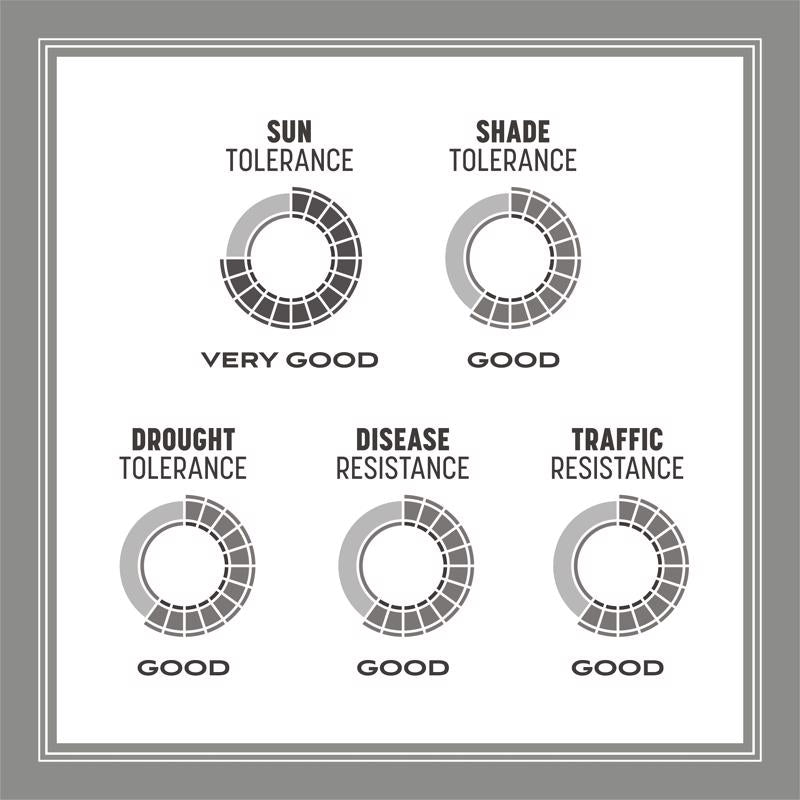 Pennington Contractors Mix Full Sun/Light Shade Grass Seed 40 lb