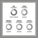 Pennington Contractors Mix Full Sun/Light Shade Grass Seed 40 lb