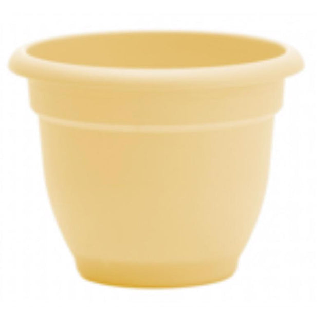 Bloem Ariana 7 in. H X 8.75 in. W X 8 in. D Plastic Traditional Planter Daffodil