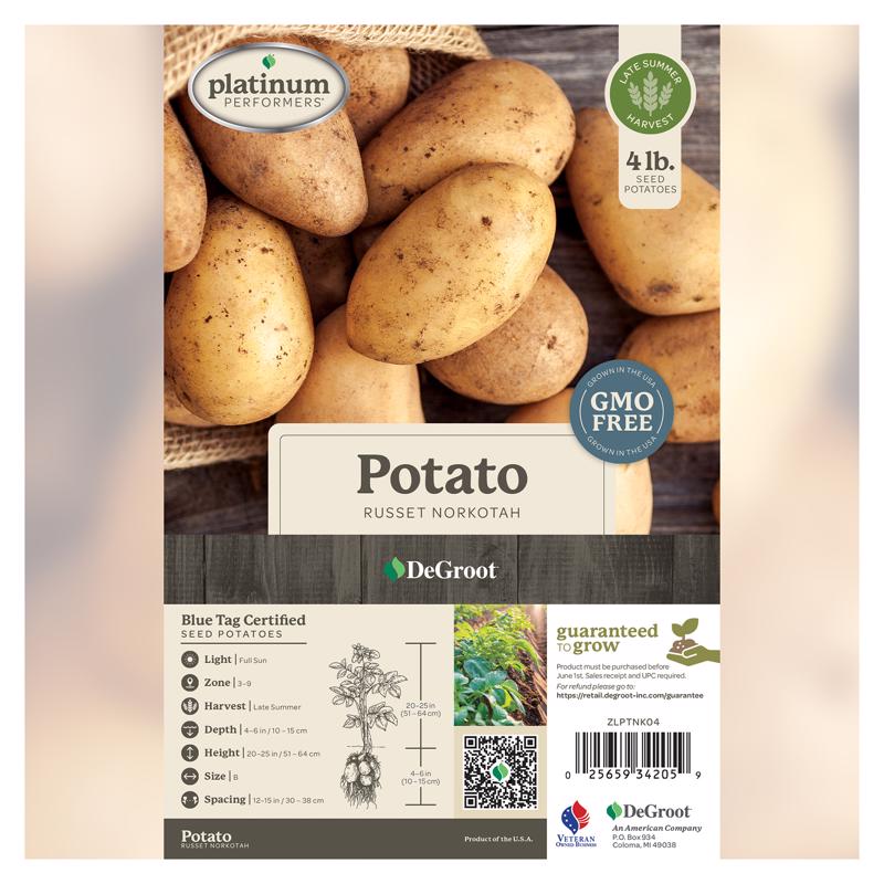 DeGroot Russet Norkotah Potato Bulb 1 pk