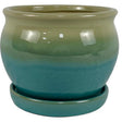 PLNTR ARCHDL MOSS 7"