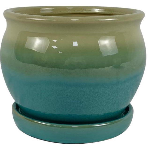 PLNTR ARCHDL MOSS 7"