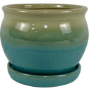 PLNTR ARCHDL MOSS 7"