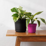Bloem Saturn 4.5 in. H X 5 in. W Plastic Traditional Planter Fuchsia