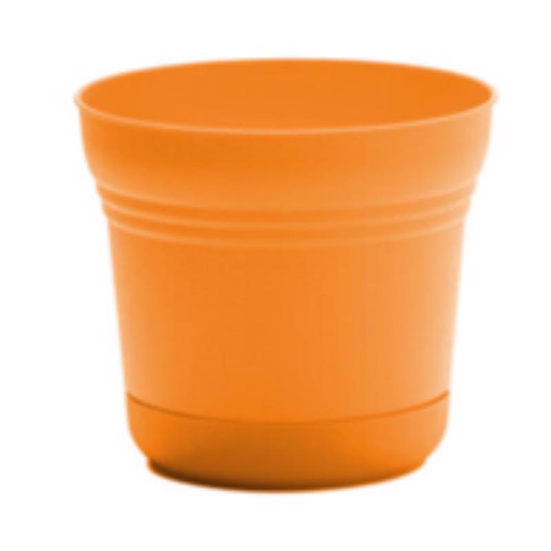 Bloem Saturn 4.5 in. H X 5 in. W Plastic Traditional Planter Mango