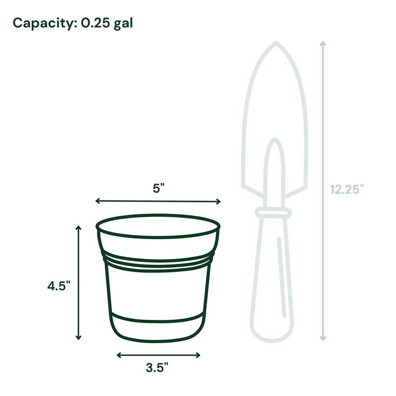 Bloem Saturn 4.5 in. H X 5 in. W Plastic Traditional Planter Mango