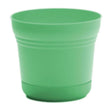Bloem Saturn 4.5 in. H X 5 in. W Plastic Traditional Planter Mint Green