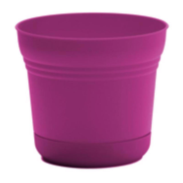 Bloem Saturn 6.5 in. H X 7.25 in. W Plastic Traditional Planter Fuchsia
