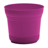 Bloem Saturn 8.5 in. H X 9.75 in. W Plastic Traditional Planter Fuchsia