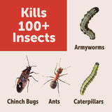 Sevin Insect Killer Granules 3 lb