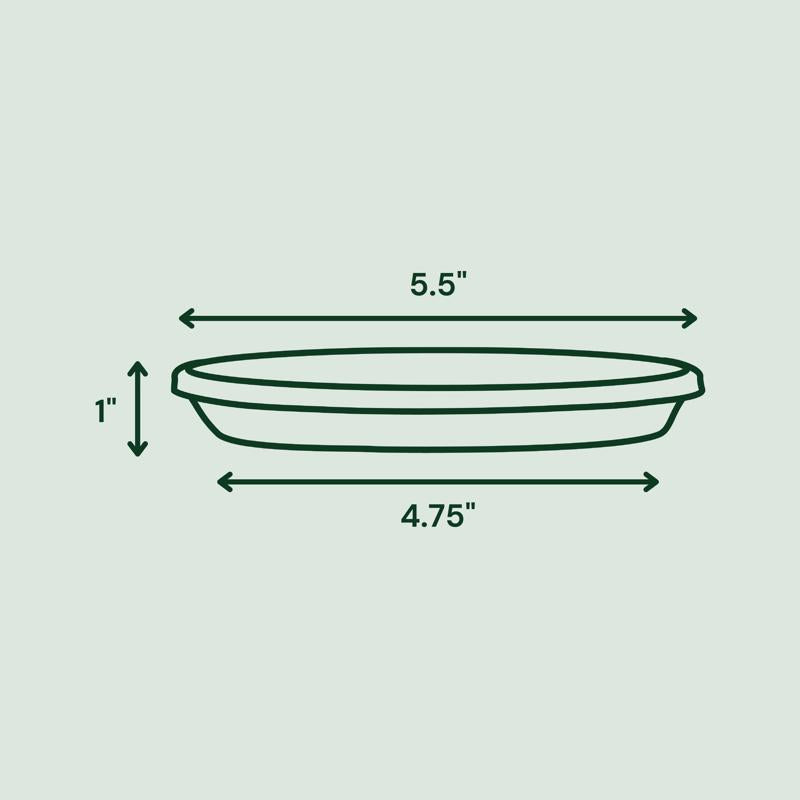 Bloem Terra 1 in. H X 5.5 in. W X 4.75 in. D Plastic Traditional Plant Saucer Basil