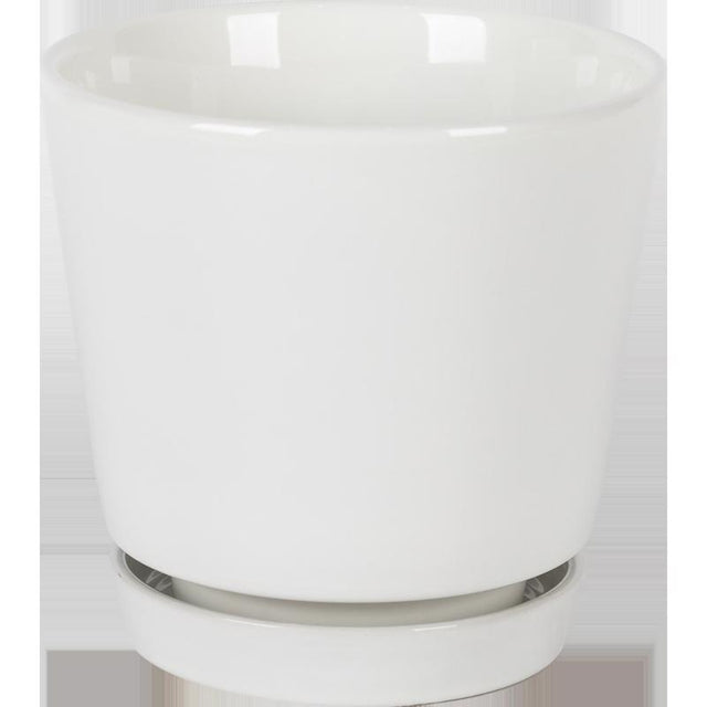 PLNTR CRMC WHT 8"
