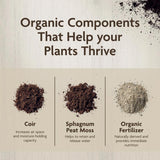 Miracle-Gro Organic Organic All Purpose Potting Mix 8 qt